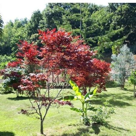 Apartmán Istanti - Salvia Costigliole Saluzzo Exteriér fotografie