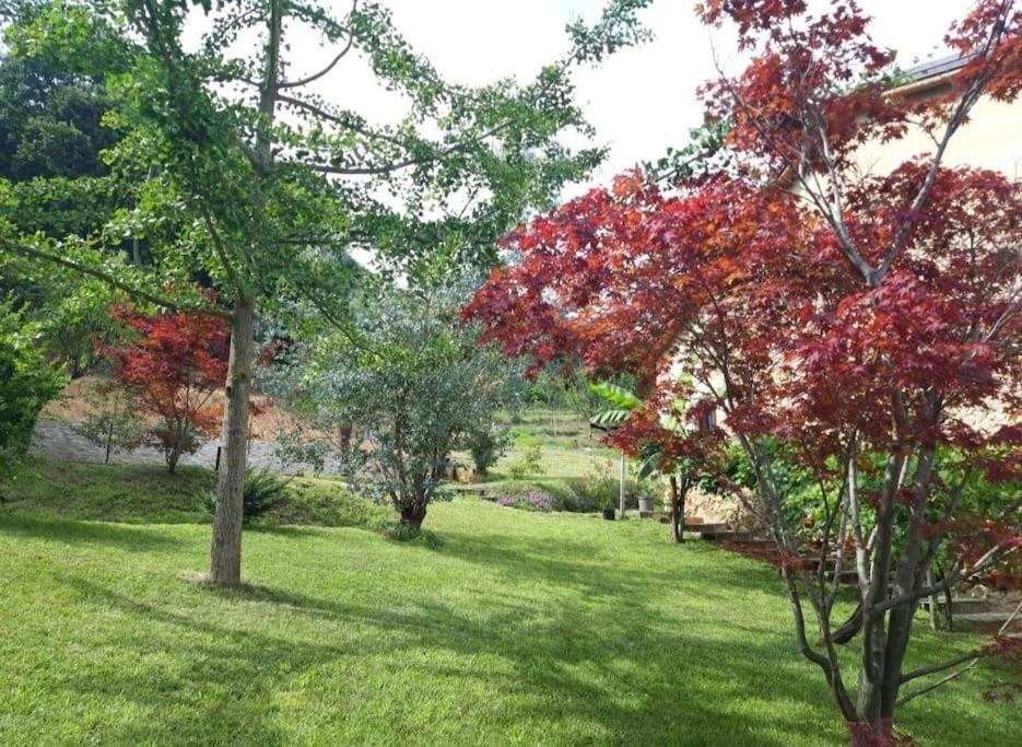 Apartmán Istanti - Salvia Costigliole Saluzzo Exteriér fotografie