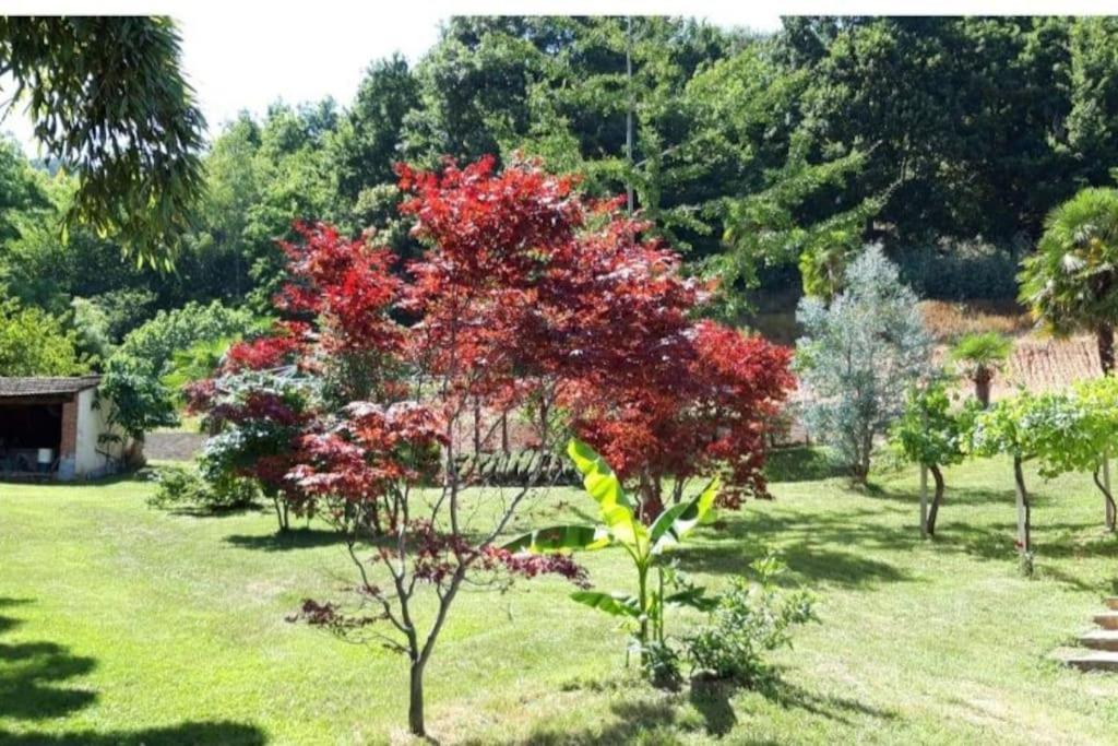Apartmán Istanti - Salvia Costigliole Saluzzo Exteriér fotografie